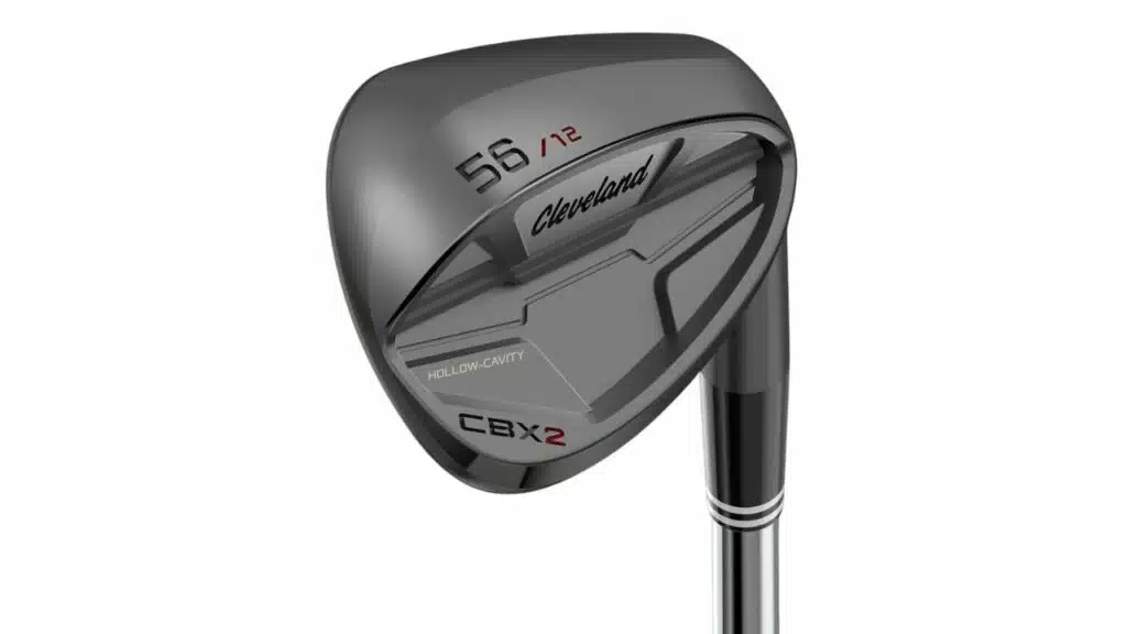 cbx2 wedges (1)