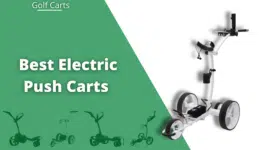 electric push cart