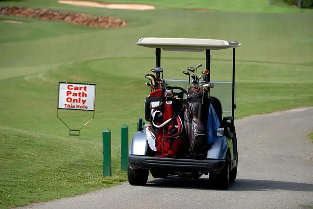 A golf cart on a golf course - Picture: Paulbr75 / https://pixabay.com/photos/golf-cart-transportation-golf-bags-1669772/