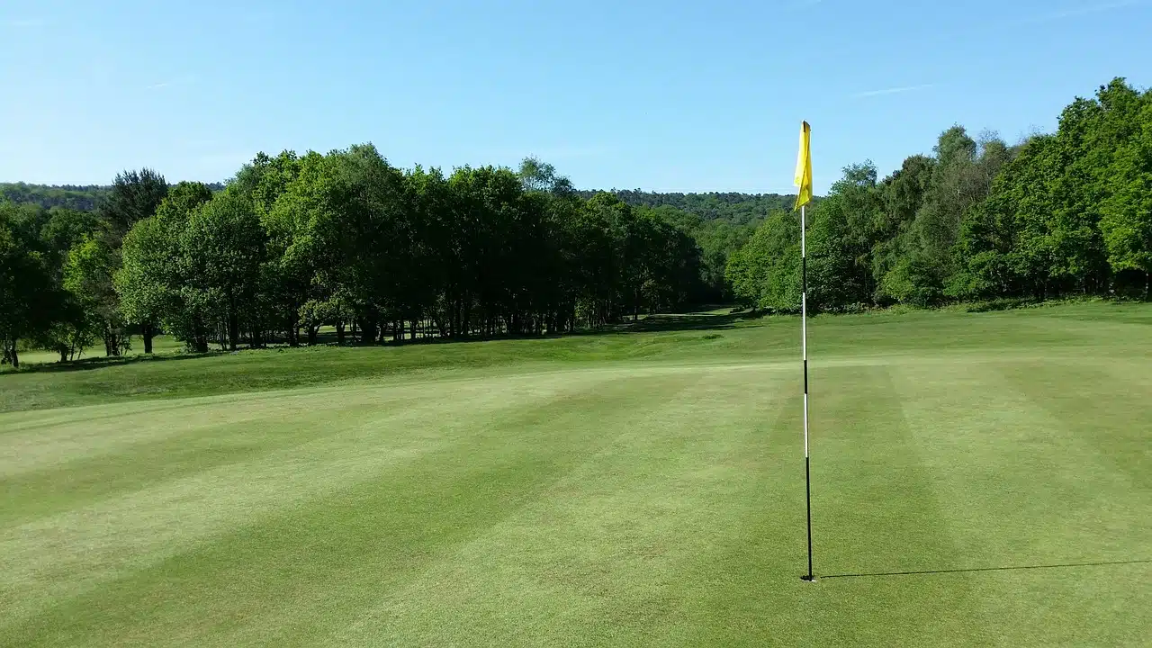 golf course green near the flag